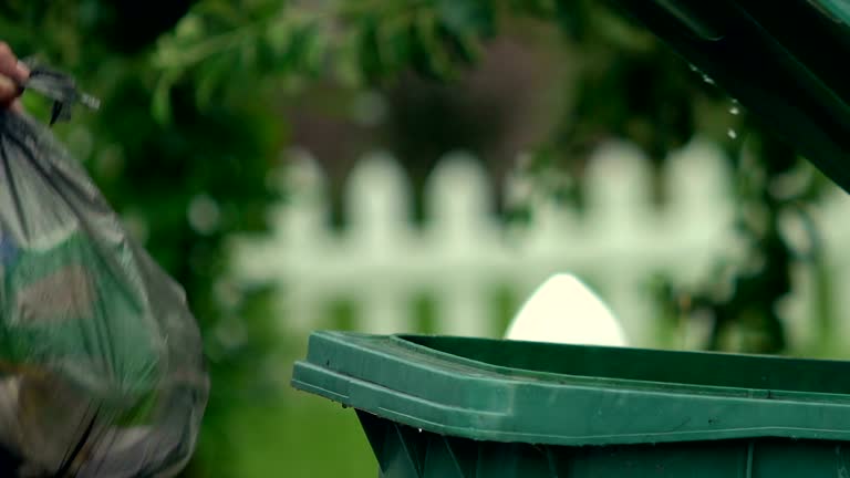 Best Moving and Downsizing Cleanouts  in Cloverdale, VA
